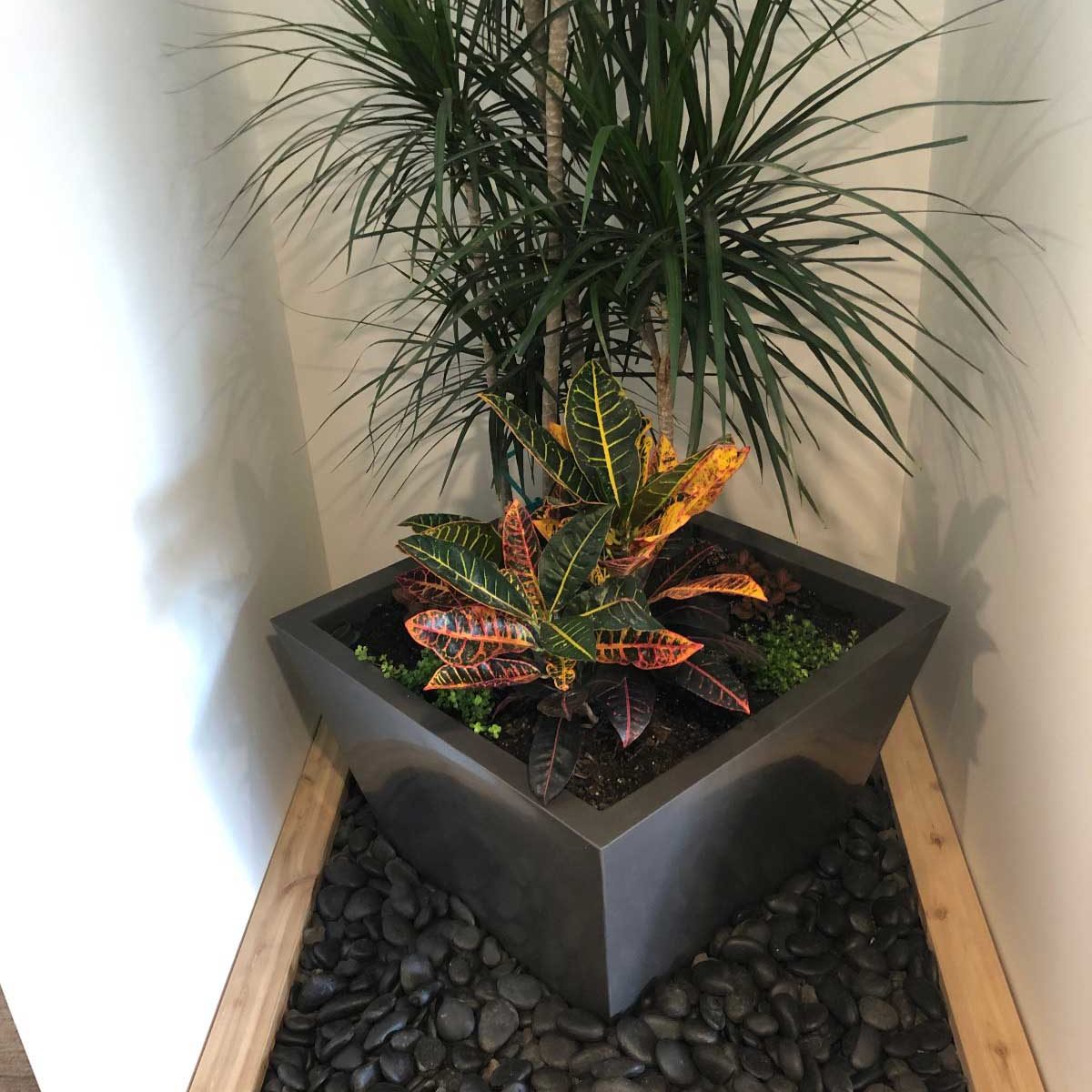 INDOOR PLANTS AND INTERIOR LANDSCAPING